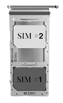 dual_sim_galgs.png